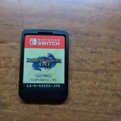 Nintendo Switch ソフト MONSTER HUNTER RISE
