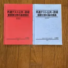 駿台 共通テスト公共・政経 2冊セット