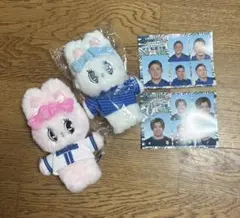 横浜DeNAベイスターズ ぬいぐるみ 証明写真風カードセットのサムネイル