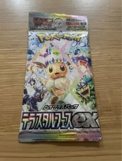 テラスタルフェスex ブラッキーSAR ニンフィアSAR高重量パック