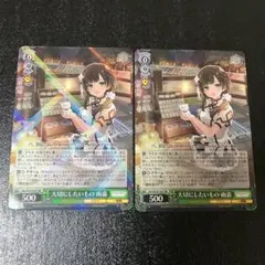 【匿名配送】 ヴァイス アサルトリリィ RR 大切にしたいもの 雨嘉 2枚