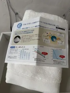 Item thumbnail for item ec10adc1-5d2d-486b-8e18-6a6964a6953e