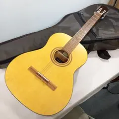 2025年最新】giannini ギターの人気アイテム - メルカリ