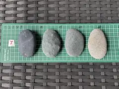 Item thumbnail for item 6709a2a8-466b-47c7-abea-6378fa4003a7