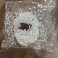 homie スタジオスクイーズ