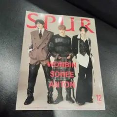 SPUR 12月号