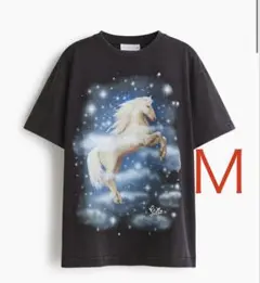 Stella McCartney ×  オーバーサイズTシャツ XS STELLA McCARTNEY H&M オーバーサイズプリントTシャツ X S - メルカリ