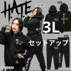 STARDOM スターダム アベイル 上谷沙弥 福袋 6点セット L - メルカリ