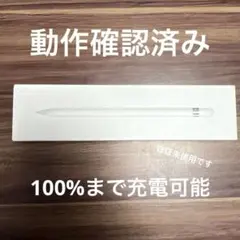 ApplePencil 第1世代 ホワイト アダプター付き
