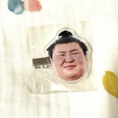 大相撲　熱海富士　ヘアピン