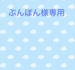 ぷんぽん《プロフ是非読んで下さい！》様 リクエスト 2点 まとめ商品