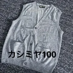 カシミヤ100ベスト