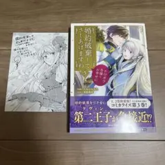 婚約破棄してさしあげますわ ～ドロボウ令嬢とお幸せに～3