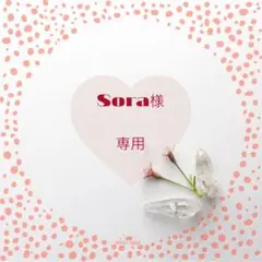 Sora様 リクエスト 3点 まとめ商品