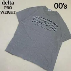 【カレッジ】00sYELLOWSTONENATIONAPARKTシャツ グレーのサムネイル