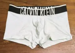 カルバンクライン　新品　メンズ　ボクサーパンツ(ロゴ/ライトブルーS)