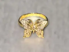 Item thumbnail for item 58778da9-5ead-41cc-9ccb-77686af68a03