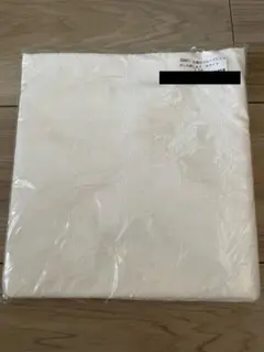 Item thumbnail for item f9b94977-cba4-4fe3-9798-78d3bd6e238c