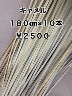 グラブレース　キャメル　180cm×１０本