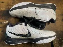 lebron バスケットボール