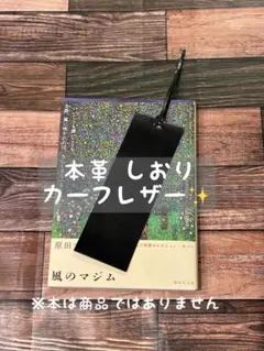 Item thumbnail for item 50368a72-6648-40a9-8d86-725e41f0e29e