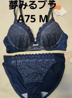 新品　トリンプ　アモスタイル　夢みるブラブラジャー　ショーツ　セット　a75