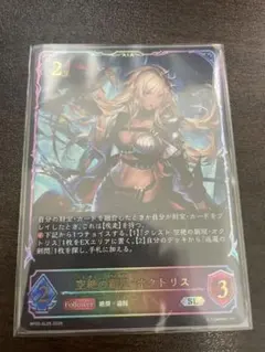 シャドウバースエボルヴ 簒奪の絶傑・オクトリス UR 進化後 - メルカリ