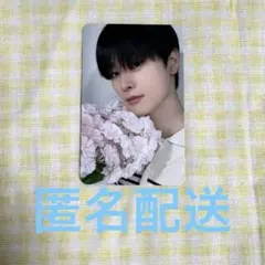 THE BOYZ ジュヨン トレカ お花 love letter ミニレコ