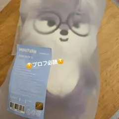 SEVENTEEN miniteen THE8 ミンハオ ぬい plushtoy - メルカリ