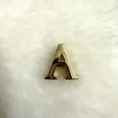 MY ABC DIORレディディオールのチャームバッジパーツ A