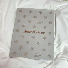 JOHNNY'S King & Prince ISLAND パンフレット