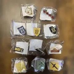 BUMP OF CHICKEN バタフライピンズコンプリートセットとおまけ Amazon | BUMP OF CHICKEN ピンバッジ ピンズ 13種類セット