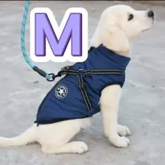 Item thumbnail for item c19278db-843c-48e7-955c-833be327a97d