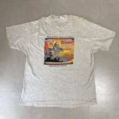 Walt Disney World ファンタジア ディズニー ほうき Tシャツ - メルカリ