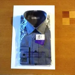 Item thumbnail for item 8106593d-c8c0-4809-8597-d0393baad753