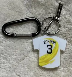 Item thumbnail for item 7aed5874-69de-49ba-8b6a-8ccd6084a521