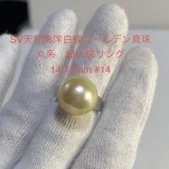 2026年最新】白蝶真珠 南洋真珠 11ミリの人気アイテム - メルカリ