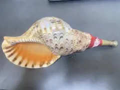 Item thumbnail for item 8e673a80-136e-45c0-8403-4da12fda27ed