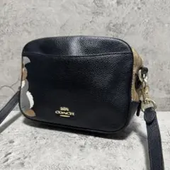 極美品✨️コーチ カメラバッグ ショルダー ディズニー とんすけ レザー 黒