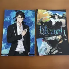 BLEACH 朽木白哉 阿散井恋次 ポストカード