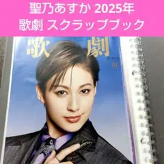 聖乃あすか お茶会 DVD - メルカリ