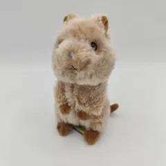 クオッカワラビー クウォッカワラビー ぬいぐるみ サンレモンのサムネイル