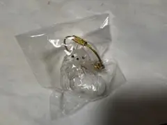 うちの子けだまだま 犬 ポメラニアン