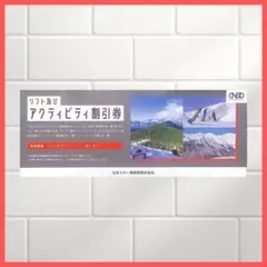 NPD日本駐車場開発 株主優待　スキー場アクティビティ割引券　1枚