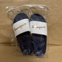 Item thumbnail for item 5fb9038c-19ef-4e6a-8aae-f57e9864d6ff