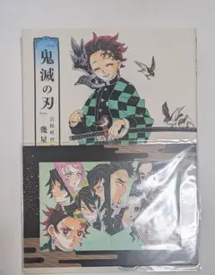 鬼滅の刃 アートブック 吾峠呼世晴 幾星霜 無限城編 入場特典