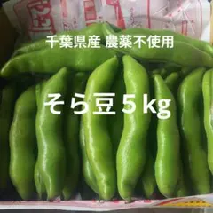千葉県産 そら豆５kg 栽培期間中農薬不使用のサムネイル