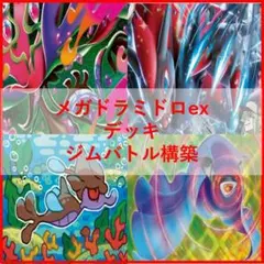 ポケモンカード　デッキ　メガドラミドロex　Nのゾロアーク　[04799]