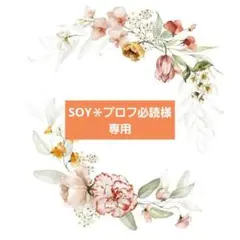 SOY＊プロフ必読様 リクエスト 4点 まとめ商品