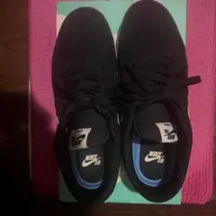 NIKE SB CHECK SOLARSOFT ブラック 27cm